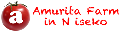北海道ニセコ町アムリタファームの甘くて美味しい塩トマト